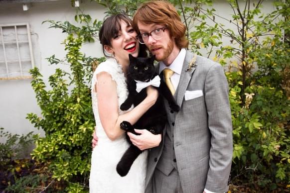 sesja ślubna z kotem